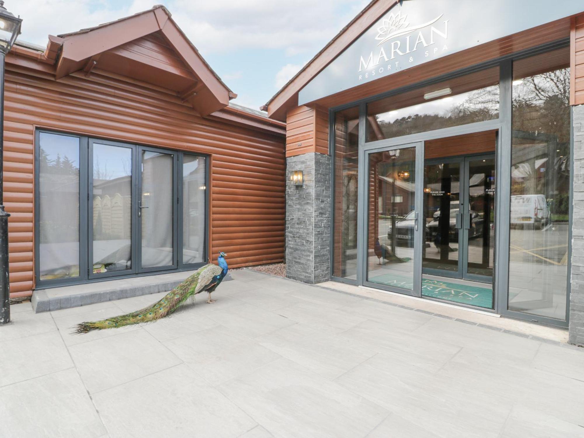 Luxury Lodge 62 Rhyl Esterno foto